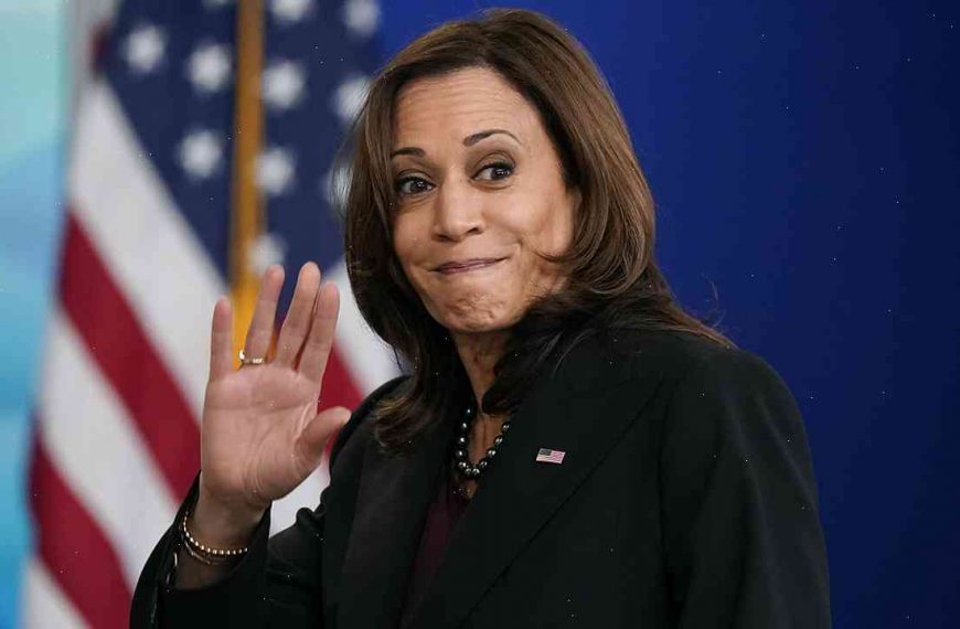 Is Kamala Harris the Wrong Candidate for 2020?