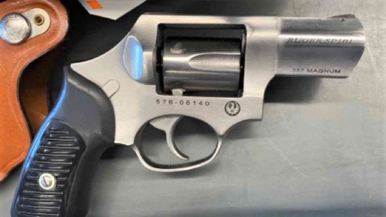 TSA issues surprise gun alert in Boston, the second time this month