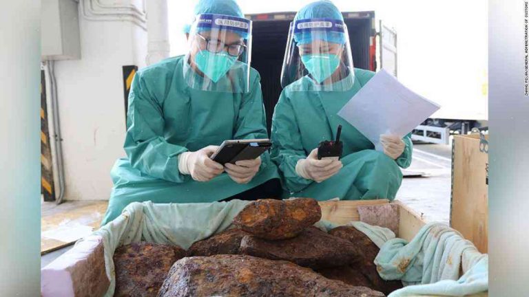 Meteorite removal case ends up a 'botched sting'